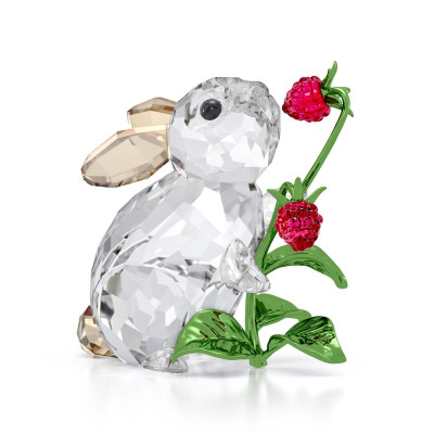 IDYLLIA:RABBIT AND RASPBERRIES