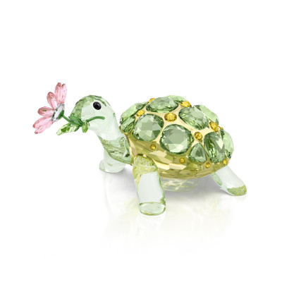 IDYLLIA:TORTOISE AND DAISY