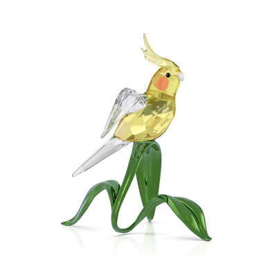 IDYLLIA:COCKATIEL